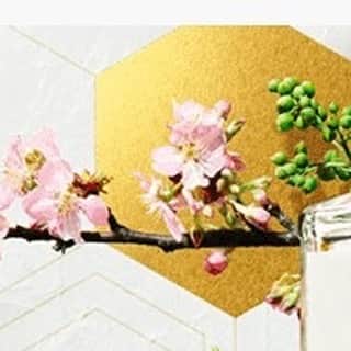 planticaのインスタグラム