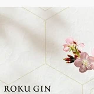 planticaのインスタグラム