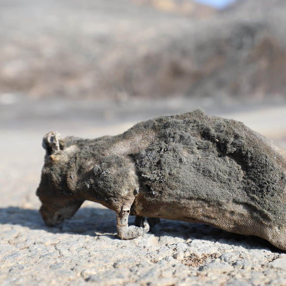 ブロディ・ジェンナーさんのインスタグラム写真 - (ブロディ・ジェンナーInstagram)「2 years ago today 🙏🏼 woolsey fire.」11月10日 16時21分 - brodyjenner