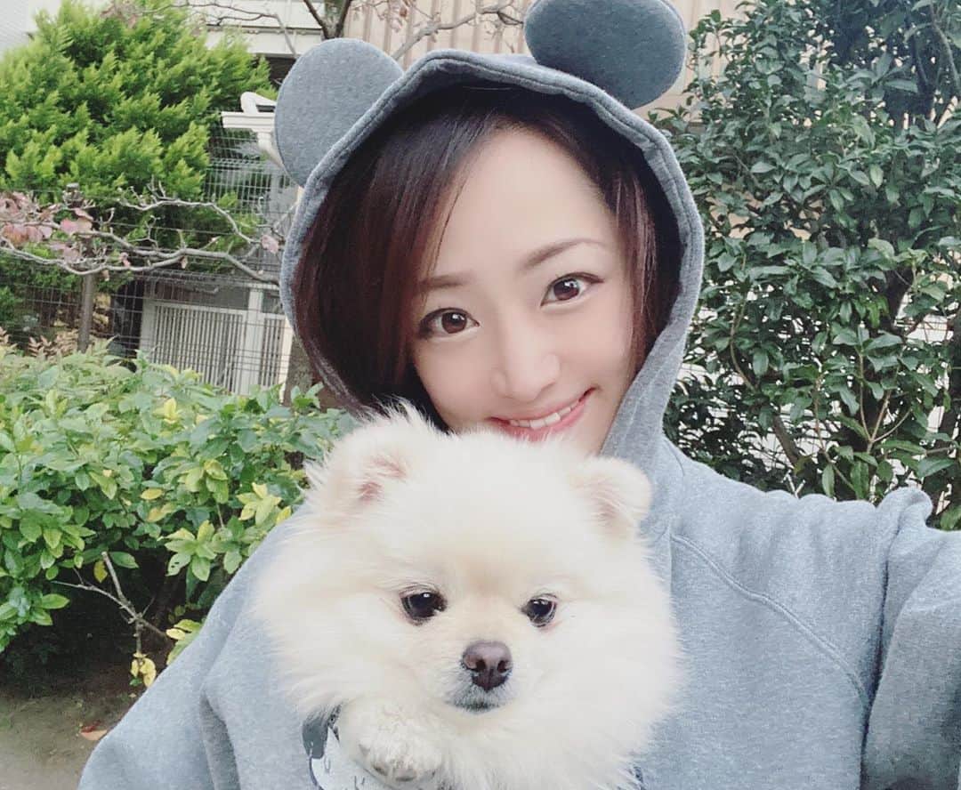 葵ゆりかのインスタグラム：「寒いので。 おもちinパーカー🐶❤️  #愛犬　#おもち　#pomeranian #ポメラニアン　#白ポメ　#ふわふわ #もこもこ　#秋　#寒い　#dog #instadog #お散歩　#マフラー　#ホッカイロ　#dogstagram #わんこ　#犬バカ部　#冬　#公園」