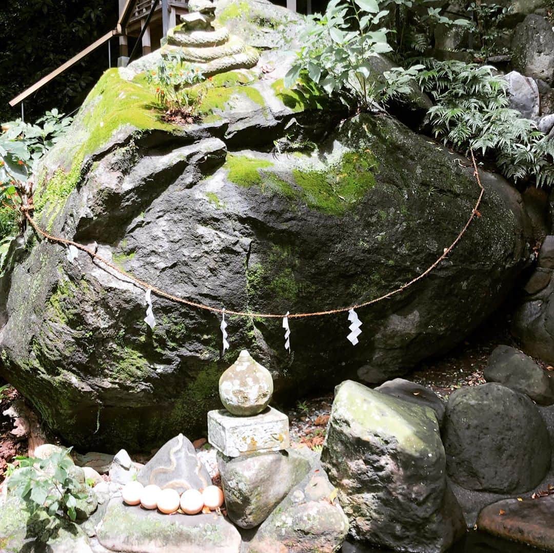 中村譲さんのインスタグラム写真 - (中村譲Instagram)「夏の思い出part 2 初熱海観光。歴史を巡る。 #熱海  #観光スポット  #来宮神社  #大楠  #パワースポット  #歴史巡り  #atami #japan #sightseeing」11月10日 16時41分 - joechan1515