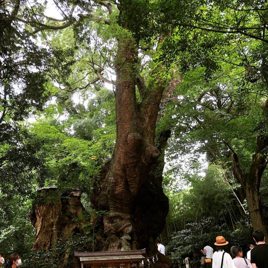 中村譲さんのインスタグラム写真 - (中村譲Instagram)「夏の思い出part 2 初熱海観光。歴史を巡る。 #熱海  #観光スポット  #来宮神社  #大楠  #パワースポット  #歴史巡り  #atami #japan #sightseeing」11月10日 16時41分 - joechan1515