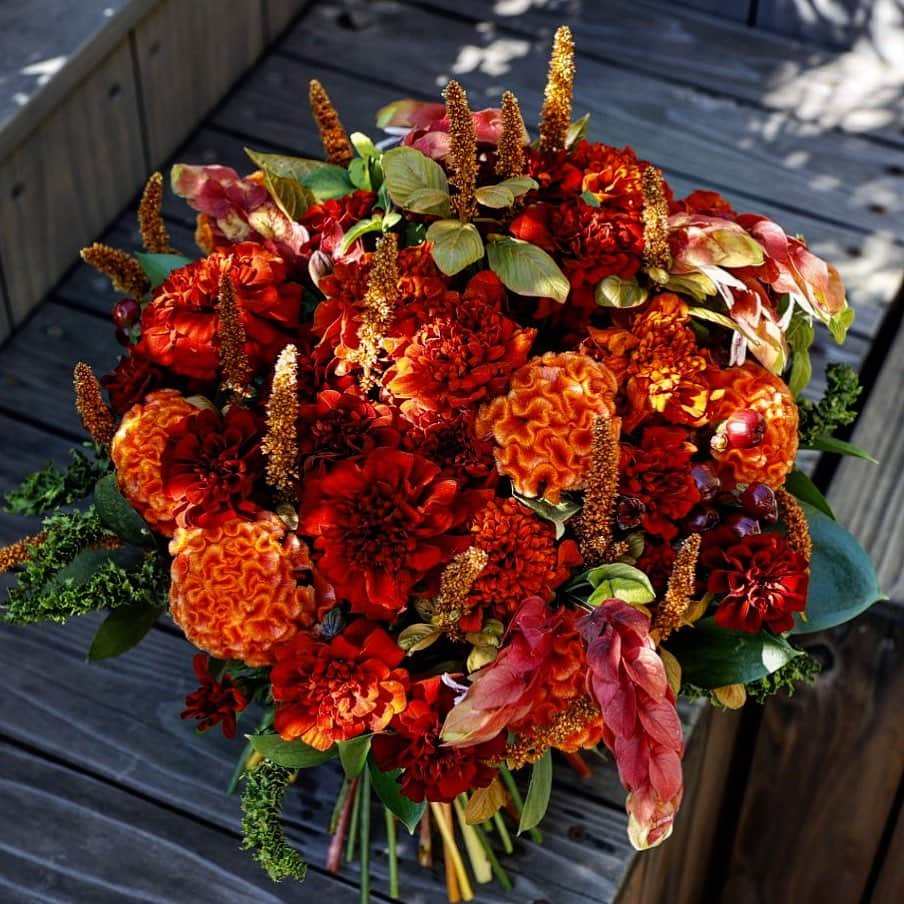 ニコライ・バーグマン・フラワーズ＆デザインさんのインスタグラム写真 - (ニコライ・バーグマン・フラワーズ＆デザインInstagram)「Autumn bouquet with the most amazing dark tagetes ( Marigold ) #nicolaibergmann #autumn #ニコライバーグマン #ブーケ」11月10日 16時59分 - nicolaibergmann