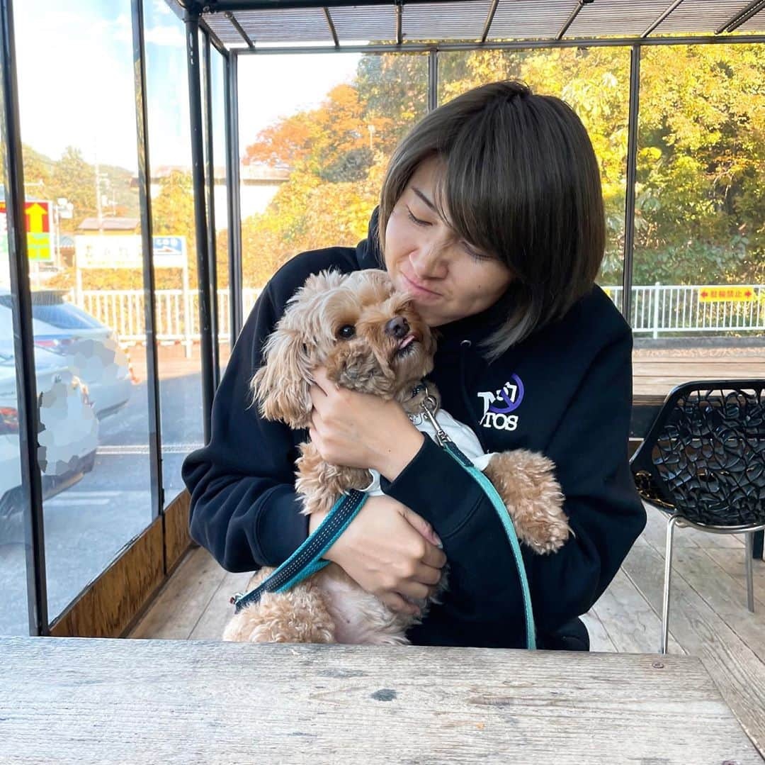 狩野舞子さんのインスタグラム写真 - (狩野舞子Instagram)「・ そんなつまんなさそうな顔してると こうしてやるんだからねー👅 ・ #だんご #マルプー #オス #4歳 #独身 #毛むくじゃら期」11月10日 17時14分 - kanochan715