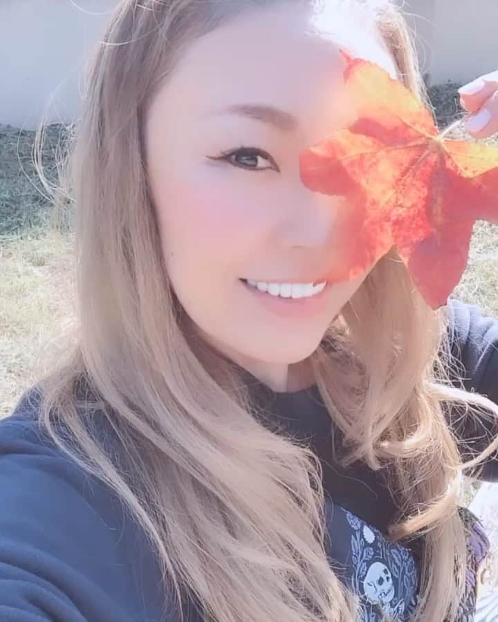EMYのインスタグラム：「10月ありがとう🍁😊❣️✨  色々忙しかったけど、過ぎれば抱きしめたいこといっぱいでした✨  2020年もう少し😊 楽しみに行ってみよー🌼  寒くなってきたので、ポールダンスにはハラマキがいい感じです🤗  まだまだみなさんと一緒にポールダンス・ポールスポーツの楽しさ味わっていきたい。寒くなっても元気にポールしていきましょう✨  ミューズポールダンス💘 eMyのポールダンスレッスンは毎週土曜日予約制で14:30-16:00ビギナークラスです😊  プライベートレッスンは火曜の午後が比較的受付しやすくなっております🎀  丁寧にレッスン出来る今に感謝😊🙏  ご予約希望ございましたら、是非DMにてお問い合わせください😊  よろしくお願いします😊」