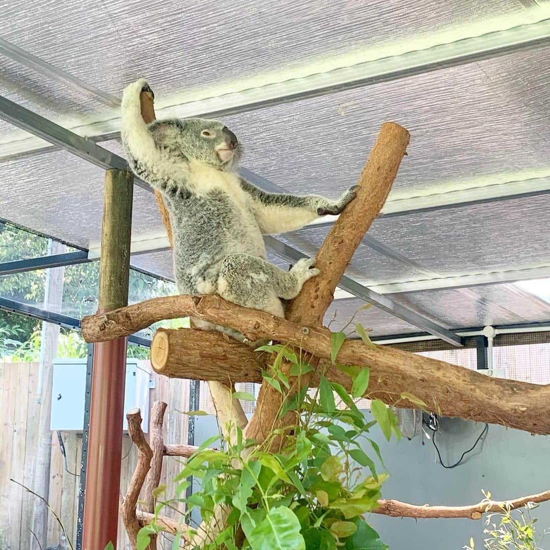 吉田沙弥香のインスタグラム
