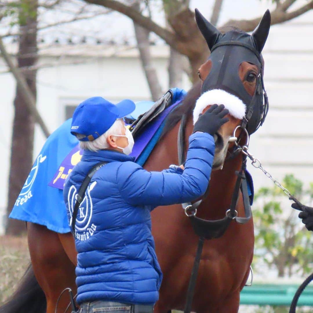 netkeibaのインスタグラム