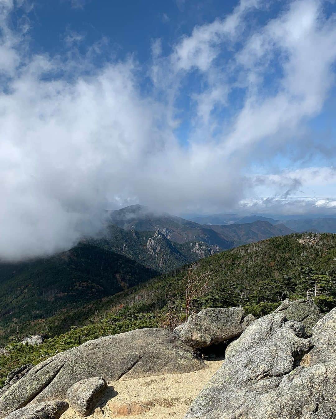 大杉亜依里さんのインスタグラム写真 - (大杉亜依里Instagram)「ランドネ @randonnee_mag 1月号が発売中です☺️⛰﻿ ﻿ 身近な山でも、視点を変えると味わいも変わるそう。（ランニングと似てますね）﻿ 今月号は山好きな方が教えてくれる、様々な山の楽しみ方特集です！﻿ ﻿ 私は登山歴はほぼ0に近いビギナーですが、山道の草花を見て歩くのが大好きです。🌿🌼🥾﻿ ﻿ 今回私は奥秩父 国師ヶ岳・北奥千丈岳の植物豊かな魅力を、インタープリターの田畑伊織さんに教えていただきました🙏✨﻿ ﻿ 北奥千丈岳は標高2601mと高い山ですが、標高2360mまで車で行けるので、私のようなビギナーにも安心なんです。🚗﻿ ﻿ 写真3,4枚目は岩場ゾーン。4枚目の岩は炭治郎が切ったのでしょうか？（いいえ違います）﻿ ﻿ 5,6,枚目、光を浴びてツヤツヤとしていて美しい葉🌿✨﻿ ﻿ 7枚目、伊織さんに針葉樹のモミ、ツガ、トウヒの見分け方を教えていただいているところ。﻿ 葉の裏側を見るとわかりやすい。🔎﻿ これはモミ。﻿ ﻿ あっという間に写真2枚目のような山頂の絶景に出会える優しい山ながら、道中は深い森が続き、山の自然を心ゆくまで満喫できます。﻿ 木があり花があり苔があり…﻿ 自然観察好きの私にはたまらなかったです😭✨﻿ ﻿ 普段、登山中にいきなり地面に注目してしまい、仲間とはぐれる私ですが笑、﻿ 今回伊織さんに贅沢に終始ガイド、説明いただきながら登れて…自然を愛でて…もう本当に幸せで楽しくてしょうがなかったです！！！！﻿ 伊織さんに大感謝！！ありがとうございました！またお会いしたい🙏﻿ ﻿ そしてこのような夢の企画に呼んでくださったランドネさん、本当にありがとうございました😭❤️❤️❤️﻿ カメラマンの高橋郁子さんが撮ってくださった写真には、私の幸せそう〜な表情がいっぱいです☺️﻿ ﻿ ぜひチェックしてみてくださいね！﻿ ﻿ スタイリング：東美穂さん﻿ （白いボアが可愛くて好きでした！！）﻿ ﻿ #ランドネ﻿ #登山﻿ #山登り﻿ #北奥千丈岳﻿ #国師ヶ岳﻿」11月25日 12時05分 - osugiairi_official