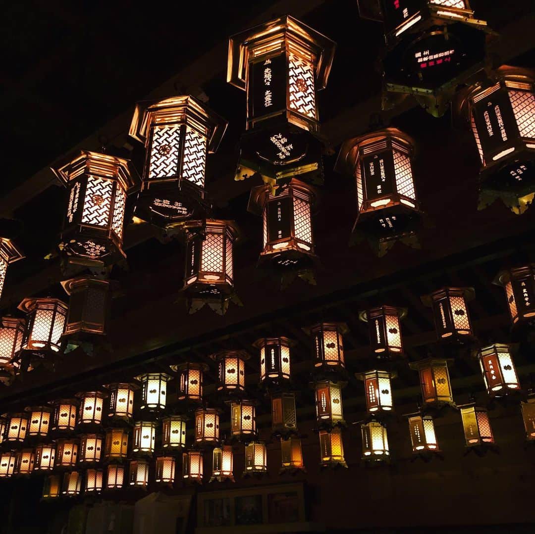 和みわかやまさんのインスタグラム写真 - (和みわかやまInstagram)「永遠の聖地、高野山。 紅葉に多くの方にお越しいただきました。紅葉が終わっても、変わらないもの。歴史を感じるスポット。探してみてくださいね。 ※灯籠堂は大明王院さんです^_^  #和み #高野山 #世界遺産 #蘇りの地 #わかやま  #奥の院」11月25日 12時04分 - nagomi_wakayama_tourism