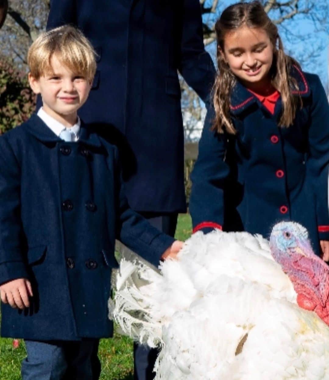 イヴァンカ・トランプのインスタグラム：「Saved by the President only to be chased by Theodore... 🦃」