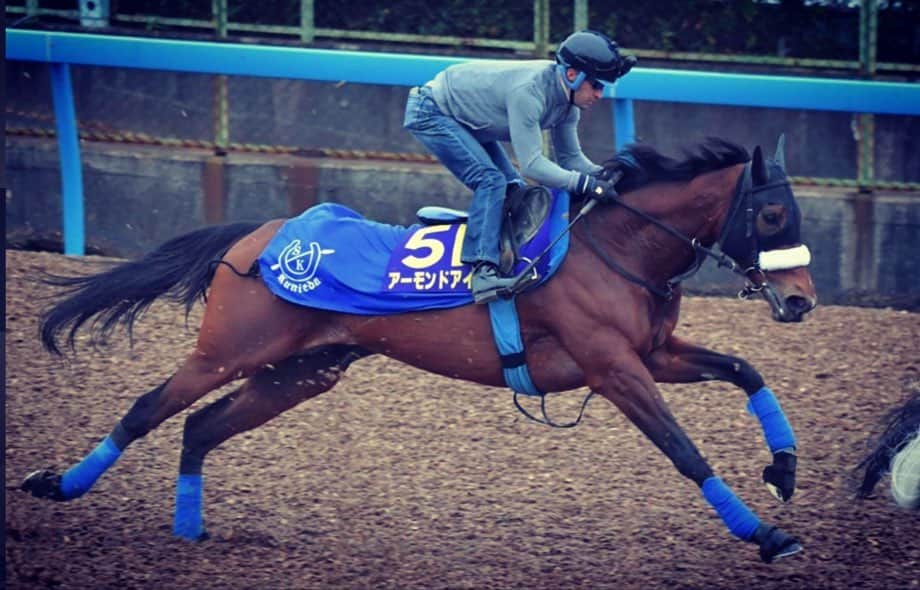 クリストフ・ルメールさんのインスタグラム写真 - (クリストフ・ルメールInstagram)「That stride ....!! ❤️💙❤️💙#almondeye#championhorse#jra#ルメール」11月25日 12時32分 - christophelemaire_officiel