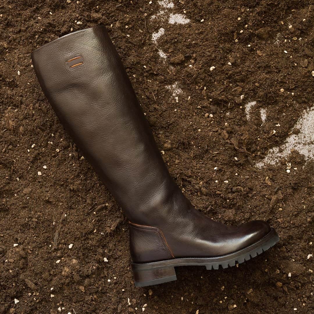 アルベルトファッシャーニのインスタグラム：「New Arrivals Online ...Subscribe our newsletter to don't miss news and special promos 🔥⁠ ⁠ AMINA 58006 - #taptoshop⁠ Amina 58006 is a new concept that incorporates the lines of traditional riding boots into the classic biker style to stand the test of time.⁠ ⁠ #albertofasciani #wintercollection #contemporary #classy #fw2021 #bikerboots #timeless #womanboots」