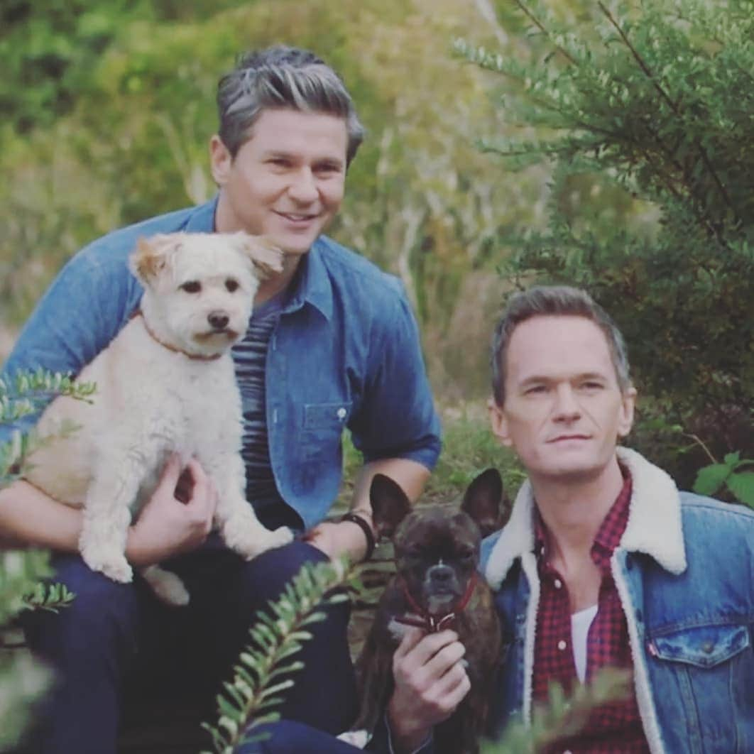 ニール・パトリック・ハリスのインスタグラム：「Happy Tuesday! Hope everyone has a great week! 💙💚💙💚 #neilpatrickharris #davidburtka #nph #db #tagsforlikes #actor #lovethem #handsome #chef #gidget #spike #dogs #furbabies #myedits #couple #husbands @nph @dbelicious 🥰🥰」