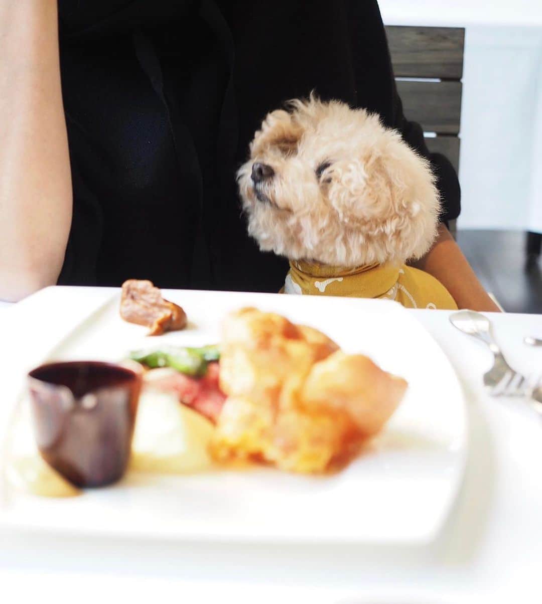 Maruのグルメインスタ