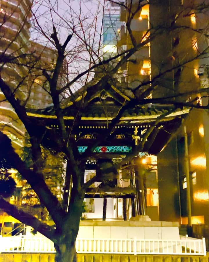 YOKANのインスタグラム
