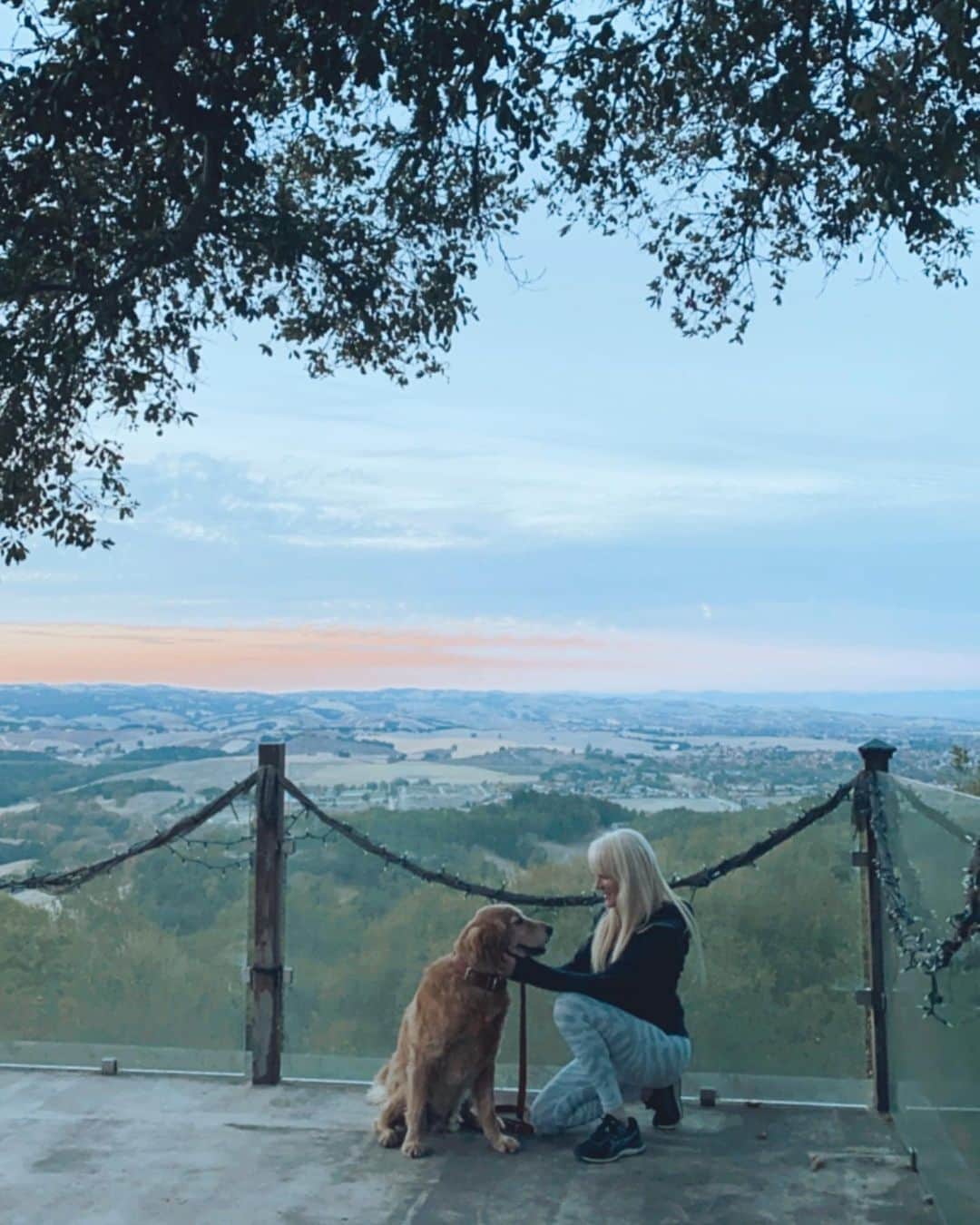 Kristin Essのインスタグラム：「Time for the occasional post not about hair... this one is all about the magic of @cheri_wulff_lucas 🐕 As y’all know I adopted Charlie earlier this year. He came from a medical ward in a shelter in rural Georgia— emaciated with heartworm and deep inner-ear infections. Thanks to some amazing women he was already on the mend once I got him. It can take a good 3-6 months to get to know an adopted animal for who they really are and over the last 6 months, Charlie had some issues come about. Just when I thought we were good, a new issue would arise. Some issues mild, some not so mild (and no, the @hellogorgeousgeorge crew was never in any danger). Charlie’s doctors think he’s 7 or 8 years old. His behavior clearly shows he’s never had any structure. Most likely just a dog that lived in the country, free to roam and do whatever he wanted. To do right by him, I realized I had to be a better leader and realized I wasn’t as knowledgeable on how to do that as I thought. I’ve never had a big dog and quickly learned how how different a 90 lb dog can be from a 9 lb one. Found out that just because he’s a beautiful golden retriever, that doesn’t mean he’s a lazy squishy cuddle bug. It goes without saying that I’m in it for the long haul with this guy, so I needed to find the right person to help me. ⁣ ⁣ Cut to the magic of @cheri_wulff_lucas. I stumbled on the wizarding world of Cheri when she took on THREE feral Cane Corsos that were found in Angeles National Forrest. If you didn’t follow that whole sitch, peep this page: @mountainrescuedogs 🐕‍🦺🐕‍🦺🐕‍🦺 I followed these dogs’ journey like it was my job. There are trainers that are hardcore, there are trainers that are delicate and positive and gentle, and then there’s Cheri. She very much has her own style of training and I’ve never seen anything quite like it. She has a gift and it’s just incredible to watch. (continued in comments)」