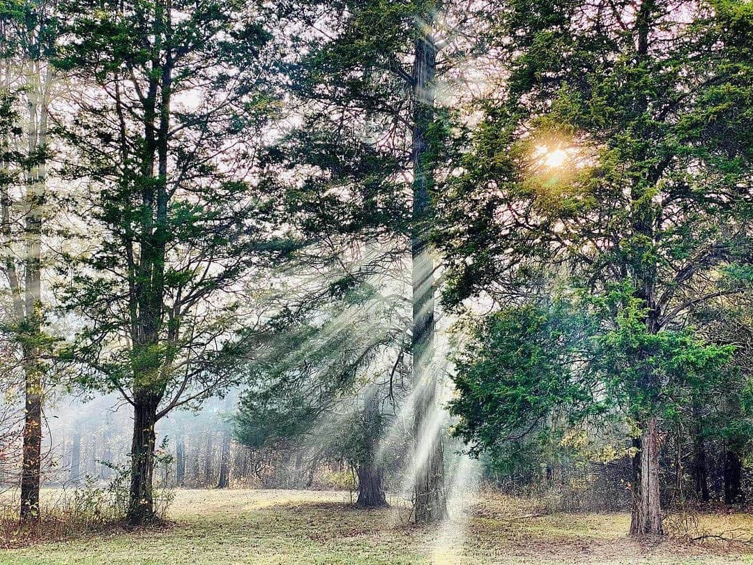 3 Doors Downのインスタグラム：「The sun through the trees and burnin’ some leaves.........and about a million limbs.  - @brad3doorsdown」