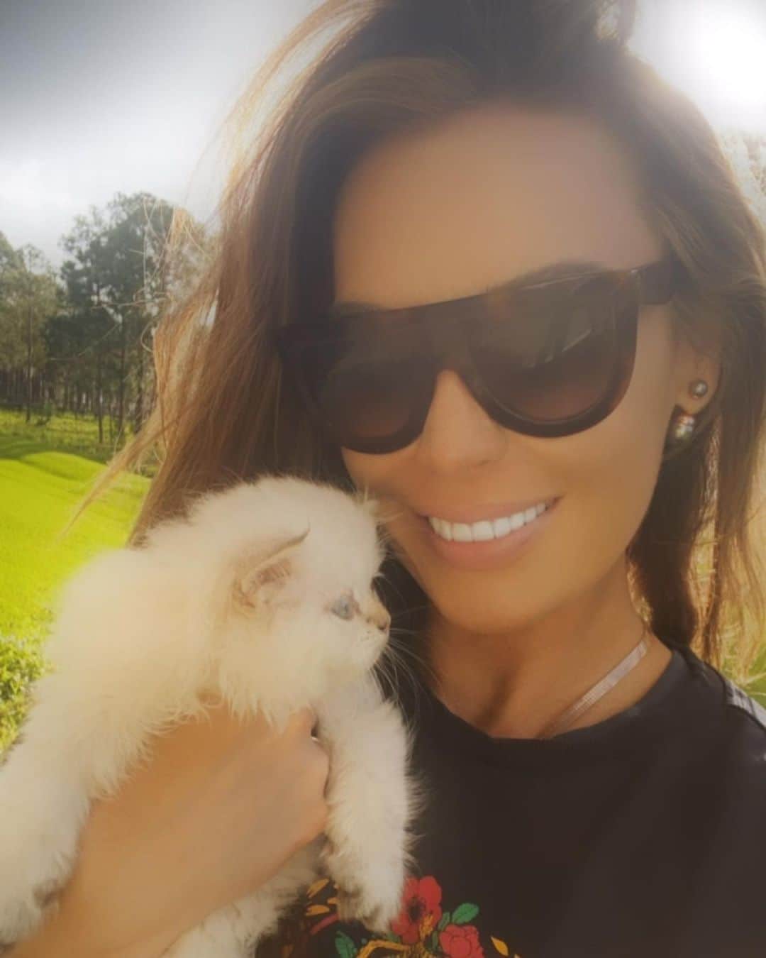 アンナ・ハウスのインスタグラム：「Welcome our latest addition ❤️ the sweetest kitten. Help us name him ❤️ thank you for coming @jody.mcneil English Rose 🌹 #persian#kitten」