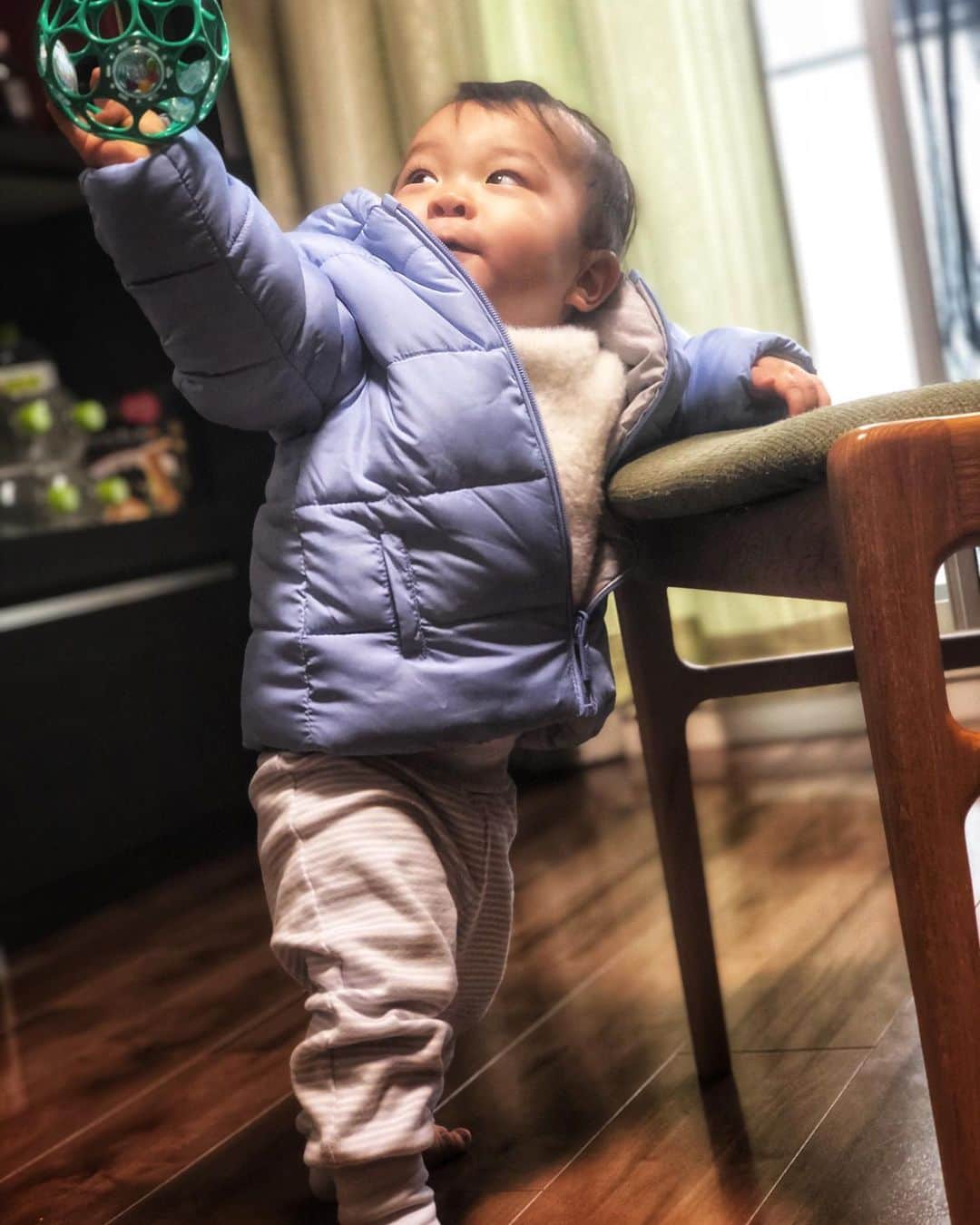 関口未来さんのインスタグラム写真 - (関口未来Instagram)「@babyshop  ✔︎FIXONI Sweatpants New Light Blue ✔︎MAYORAL Reversible Jacket Beige  アウター はこの冬用に☃️ 歩きだすに違いないと、少し大きめですが、ゲット😎 リバーシブルで、もう片方はグレーなのでボトムスの色で使い分けたりして、おしゃれなコーデに😘  大好きなベイビーショップ、23日からブラックフライデーセール開催中❣️なんとなんと、最大70%オフ👏 日本語サイトだから安心してお買物できるし、現地設定オフィシャル価格なので日本で買うより安い‼️ これはチェックしないともったいないですよー❤︎  #babyshop  #ベイビーショップ #ベイビーショップブラックフライデーセール  #PR #fixioni #mayoral  #mayoralkids  #blackfriday  #ブラックフライデー #赤ちゃん用品 #ベビー用品 #赤ちゃん #赤ちゃんのいる生活  #親バカ部 #ベビスタグラム #フォロワー募集中 #新米ママと繋がりたい  #新米ママ #男の子ママと繋がりたい  #男の子ママ #赤ちゃんのいる生活  #赤ちゃんのいる暮らし  #産後9ヶ月　 #ベビーコーデ」11月25日 8時36分 - miki.sekiguchi_x