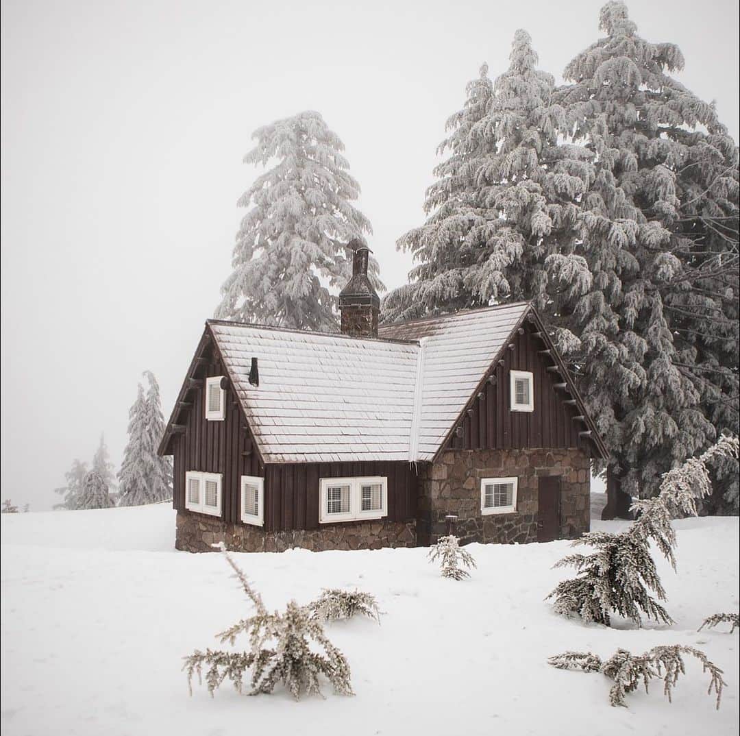 FOLKのインスタグラム：「The Gift Guide You Need. All the cozy, clean, fresh feels in this guide. Perfect for this time of year. Now up at www.folklifestyle.com @tribeandtrue  @beekman1802  @thankfulsagefarmschool  @fount  @bradleymountain  @belmonili」
