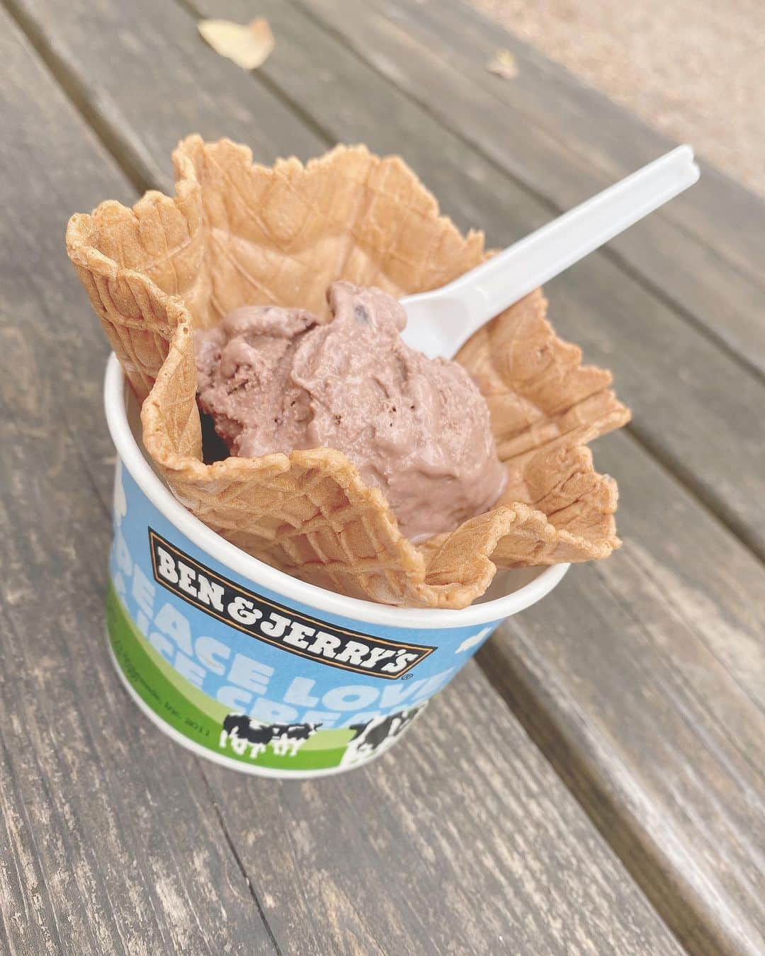 ぴよさんのインスタグラム写真 - (ぴよInstagram)「#benjerrys  . 美味しい #アイス 🍨 スーパーでたまに買う☺️ . #チョコ 味と #コットンキャンディー が好き🥰 . 今日は水曜日ですね〜😊 外でたらひやっとしてびっくり！ 先週は暑かったのに😧 昨日は久々にみさとちゃんとかすみちゃんに会えた(かすみちゃんは結構会う)ので今日は頑張るぞ〜🥰 . #もえちゃん日記 #おやつシリーズ  . #アイスクリーム  #チョコアイス」11月25日 8時50分 - _piyogram_