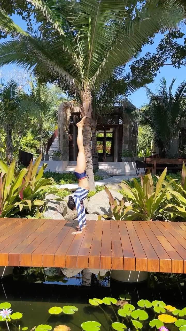 アリス+オリビアのインスタグラム：「Family time... ❤️ (oh wait I muted them all screaming in the background 😂)」