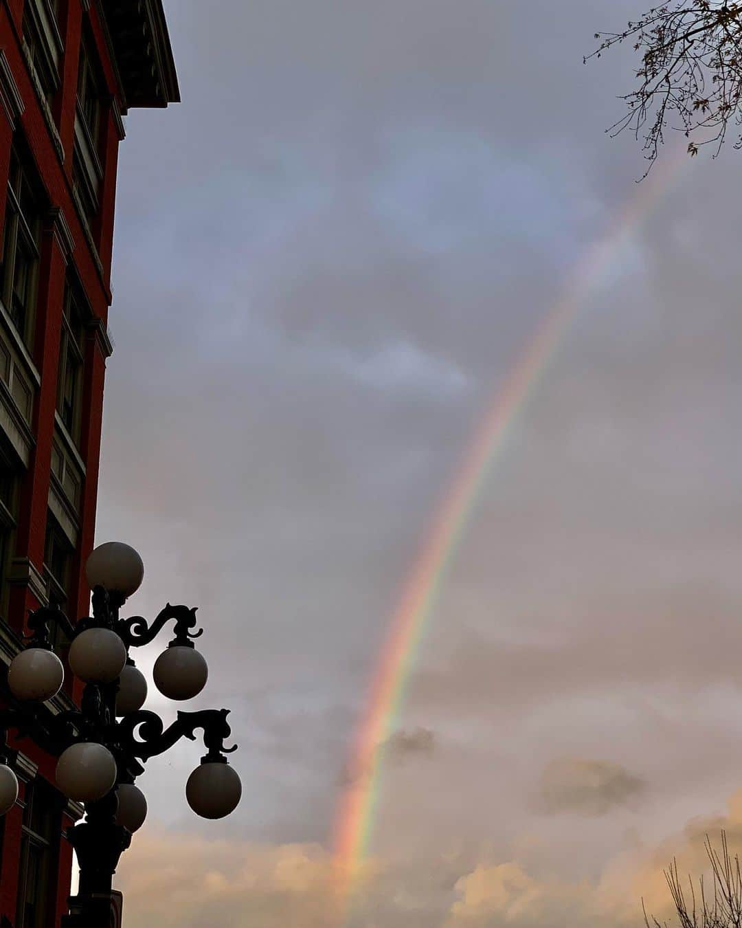 アナベス・ギッシュさんのインスタグラム写真 - (アナベス・ギッシュInstagram)「🌈🌈🌈 I will always be that girl who marvels at a rainbow.」11月25日 9時08分 - annabeth_gish