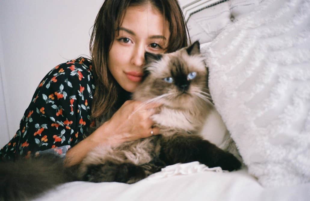 のインスタグラム：「In loving memory of Rocky 我が家のアイドル、 ロッキーが先日永眠しました。 ⠀⠀⠀⠀⠀⠀⠀⠀⠀ 愛情表現がどストレートなロマンチストで とにかく愛され上手な男の子！ 長い間腎臓病と闘いながらも 最後の最後まで私たちを幸せにしてくれてありがとう。 猫らしくない鈍臭いところ 声出して泣けないところ 名前呼んだら超絶ダッシュで飛んでくるところ 私が泣いてるとずーっとそばで あのベイビーブルーな瞳で見つめてくれて たまらなく愛おしかったよ ⠀⠀⠀⠀⠀⠀⠀⠀⠀ ツアー終わりに過ごせた静かな時間が掛け替えの無いものとなりました。 ⠀⠀⠀⠀⠀⠀⠀⠀⠀ Ninoも寂しそうだけど 生まれ変わってまた会えることを楽しみにしてるね👼🏼 ⠀⠀⠀⠀⠀⠀⠀⠀⠀ ずっと愛してる Rest in kitty paradise Rocky ⠀⠀⠀⠀⠀⠀⠀⠀⠀ 一緒に支えてくれた獣医師とスタッフ、 いつも気にかけてくれたファンのみんなにもありがとう、 これからも @rockyandnino 見守っててください😌 ⠀⠀⠀⠀⠀⠀⠀⠀⠀ If you know me you know Rocky held a massive space in my heart and life!  He was my furbaby who stood by me (with Nino) through the darkest times. He’d been fighting illness for a while now - and after wrapping up my tour this month we spent his last days together peacefully at home.  ⠀⠀⠀⠀⠀⠀⠀⠀⠀ It took me a while to face and share this but hearing others’ experiences has helped so much.  Life has a limit but spirits of those loved never truly leave us:)」
