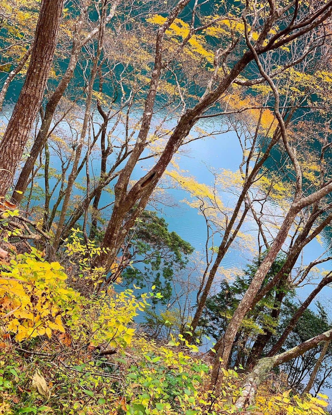 MINMIさんのインスタグラム写真 - (MINMIInstagram)「寸又峡にて 葉っぱと美しい水面　 日本の秋って本当に綺麗ね #紅葉　#静岡　#寸又峡」11月25日 9時54分 - minmidesu