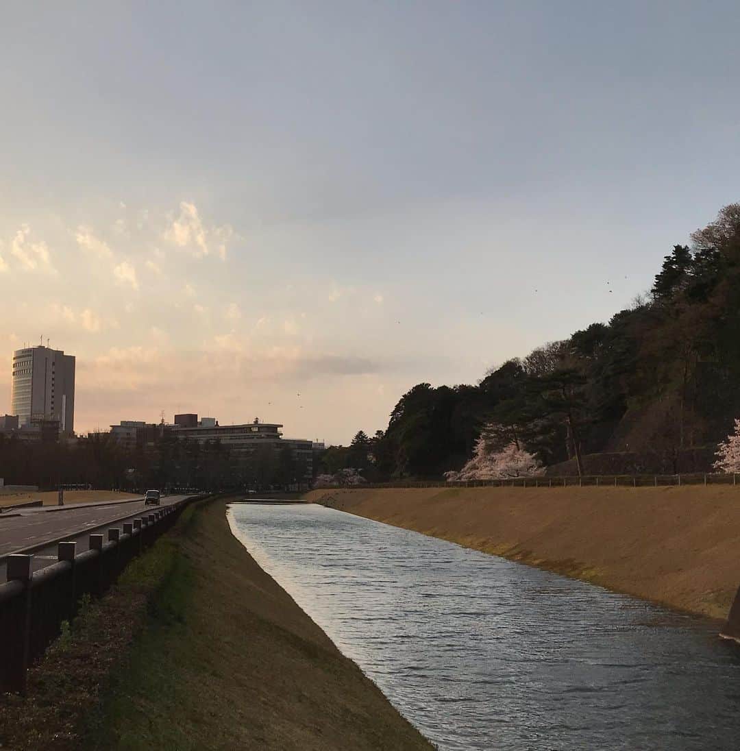 ホテルパシフィック金沢さんのインスタグラム写真 - (ホテルパシフィック金沢Instagram)「. おはようございます🍂  今日はわたしのすきな 金沢の風景を🪟🌳  空と水面に映る景色、 1日1日、同じ空はないな〜と立ち止まる場所です。  春には桜が見えて、秋には紅葉が、 冬には澄んだ空が綺麗なここ  どこだかわかりますか？ 金沢へ来たら絶対通る道なのでは？？🧐😊  本格的に朝晩も冷え込んできましたので、 みなさまお身体に気をつけてくださいね。 そして来たる冬を共に楽しみましょう🧶🧣🧤  #hotelpacific #hotelpacifickanazawa #ホテルパシフィック #ホテルパシフィック金沢 #ホテル #hotel #instatravel #renovation #リノベーション#金沢カフェ#coffee#latte#石川 #金沢 #kanazawa #ishikawa #japan #jpn#gotoキャンペーン#gototravel」11月25日 9時56分 - hotel_pacific_kanazawa