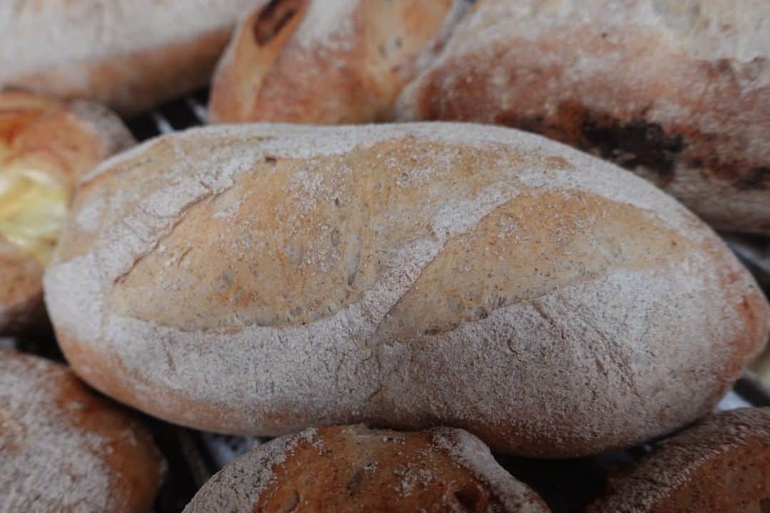 魔女菅原のグルメインスタ