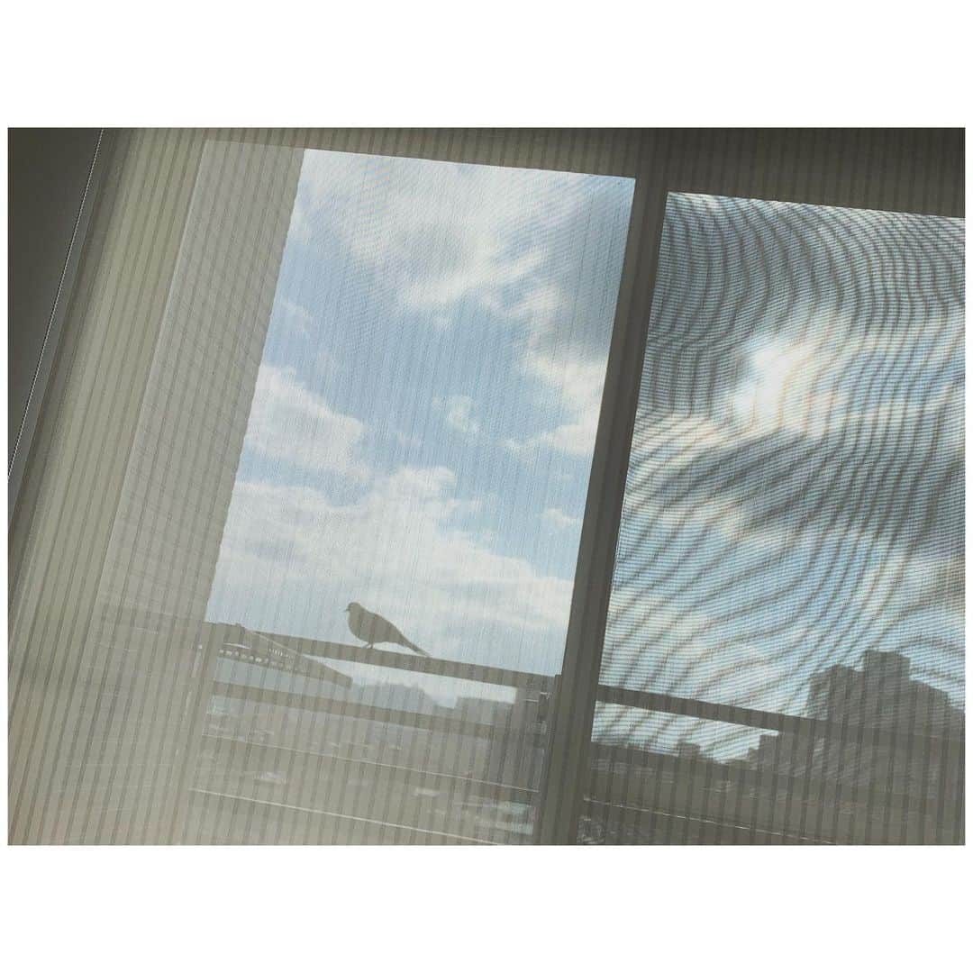 峮峮さんのインスタグラム写真 - (峮峮Instagram)11月25日 11時12分 - qun_04