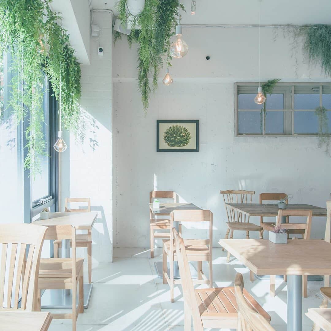 BOTANIST GLOBALのインスタグラム：「Every day we try to do our best for someone else and for ourselves.   Why not relax your shoulders a little, go somewhere warm and look at the plants and the autumnal cityscape, leaving your mind empty and calm. Living with plants.  The cafe on the second floor of Botanist Tokyo, which embodies the "botanical lifestyle" of "living with plants", offers a botanical menu featuring vegetables and fruits that are delicious for the body.🥗  Just relax with a friend, alone with a book, or just do nothing at all. Find your own way to relax at #BOTANISTTokyo✨  Get energy to keep going strong. We are sincerely looking forward to seeing you.  Stay Simple. Live Simple. #BOTANIST ⠀  🛀@botanist_official 🗼@botanist_tokyo 🇨🇳@botanist_chinese」