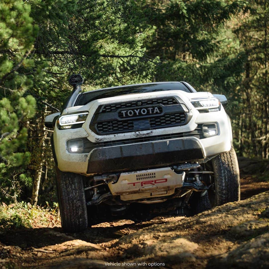 toyotausaさんのインスタグラム写真 - (toyotausaInstagram)「Yep, that #TRD Front Skid Plate is ready for anything. #Tacoma #LetsGoPlaces」11月11日 3時18分 - toyotausa