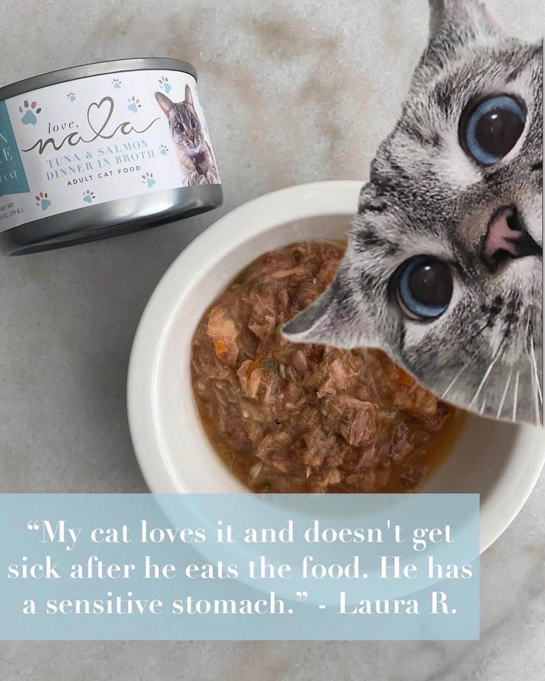 nala_catさんのインスタグラム写真 - (nala_catInstagram)「When you support my cat food company @lovenalaco It allows me to support kitties in need. With your help, we donated more than 50000 bowls of Love in less than 12 months and we hope to do so much more.   Has your kitty tasted my super-premium recipes yet?   👩‍🍳 No artificial flavors, colors or fillers 🐟 Meat first!  ♻️ Cans are recyclable and BPA-Free  📦 Free Shipping  🏡 Delivered straight to your door 😋 Happiness guaranteed 💻 Customer care is always on standby   Shop here: www.lovenala.com and save 10% on your first order when you sign up for my newsletter」11月11日 3時19分 - nala_cat