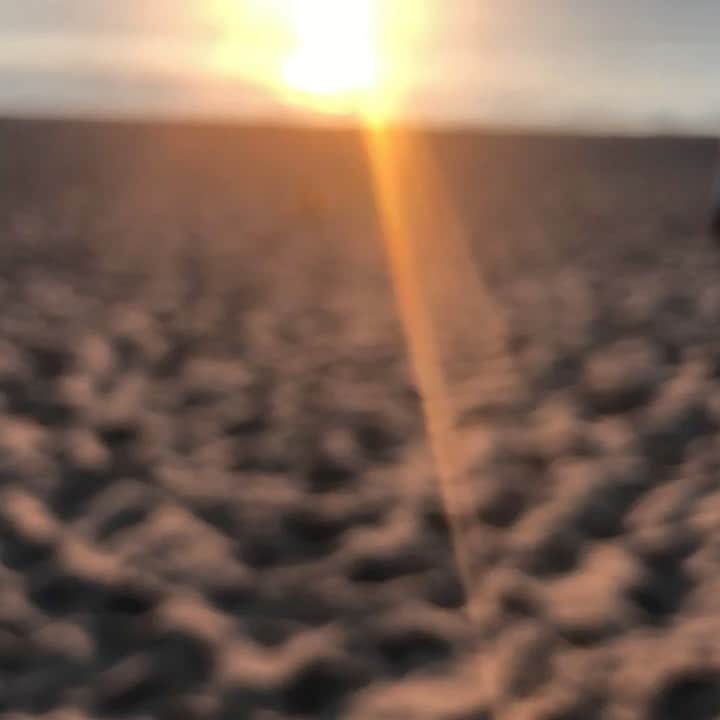 クラーク・グレッグのインスタグラム：「Dawn of a new day coming at ya like...」
