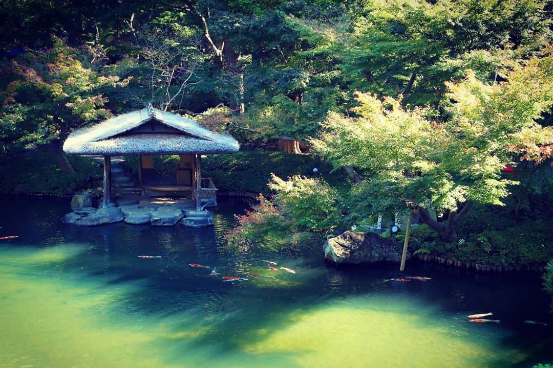 八芳園のグルメインスタ