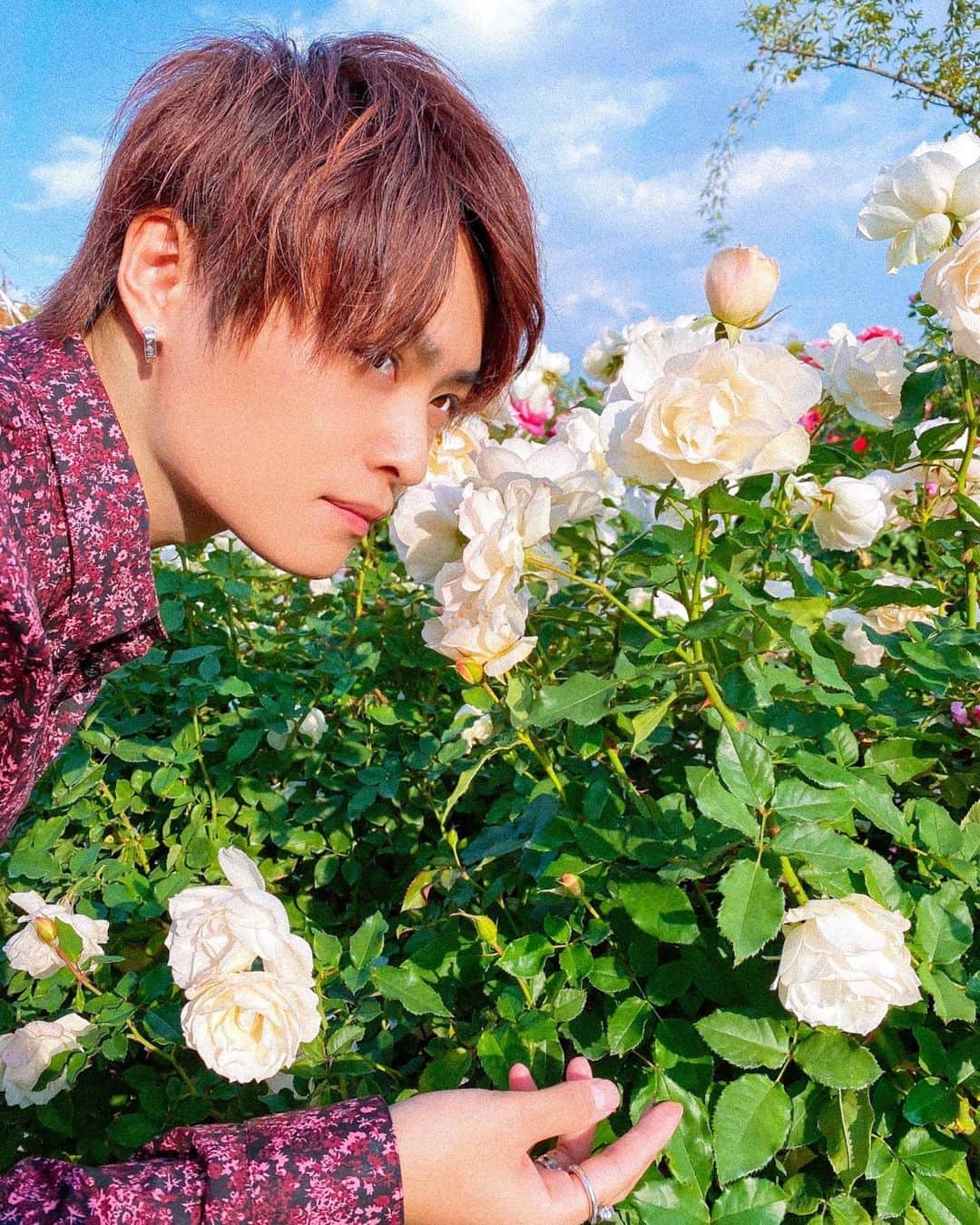 ゆうやさんのインスタグラム写真 - (ゆうやInstagram)「バラを感じに行った🌹 小学校の頃からどう森で1番愛情を注いで水をあげてきた花です。花の交配をして学校に行く。。そんな日々を思い出させてくれました #バラ #どう森 #青のバラごじゃレア」11月10日 19時53分 - mikimikiyuya