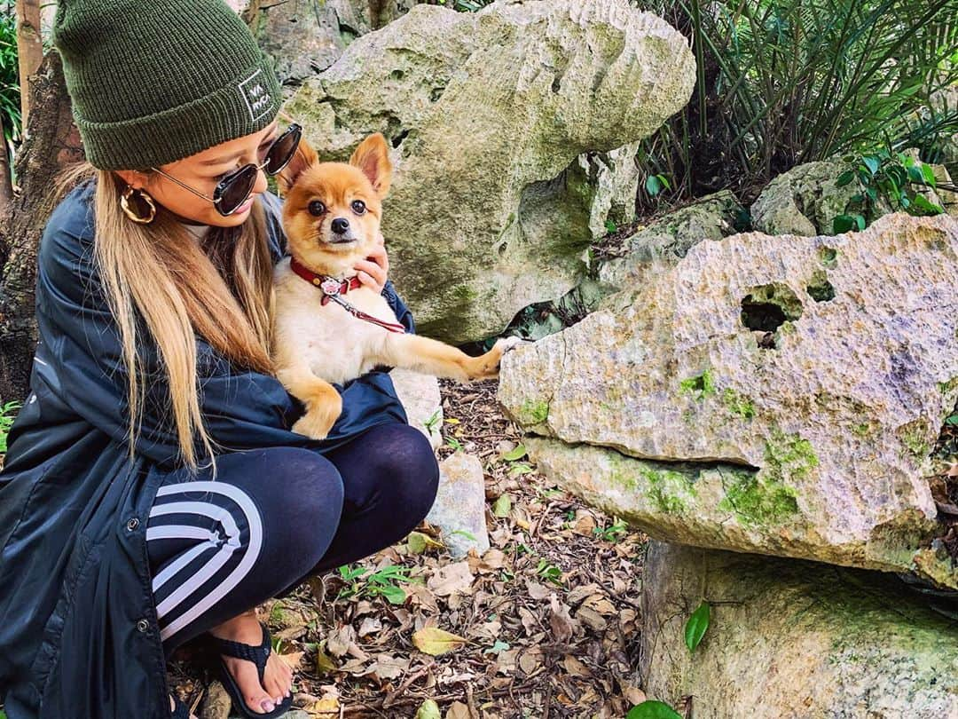 ちゃんもりさんのインスタグラム写真 - (ちゃんもりInstagram)「ちゃちゃ🐕VSイグアナ岩 おてて可愛すぎ🐾顔可愛すぎ🥺 . . . #沖縄#本当北部#山頂#山登り#大石林山#やんばる#山ガール#登山#アクティブ#アクティブ女子#絶景スポット#日本の絶景#沖縄観光#沖縄移住#沖縄旅行#観光スポット#犬のいる暮らし#犬とおでかけ#秋コーデ#イグアナ岩#okinawa#mountain#okinawajapan#okinawalife#okinawatrip#mountainview#japanesegirl#genic_mag#genic_okinawa#genic_japan」11月10日 20時00分 - xx817.a