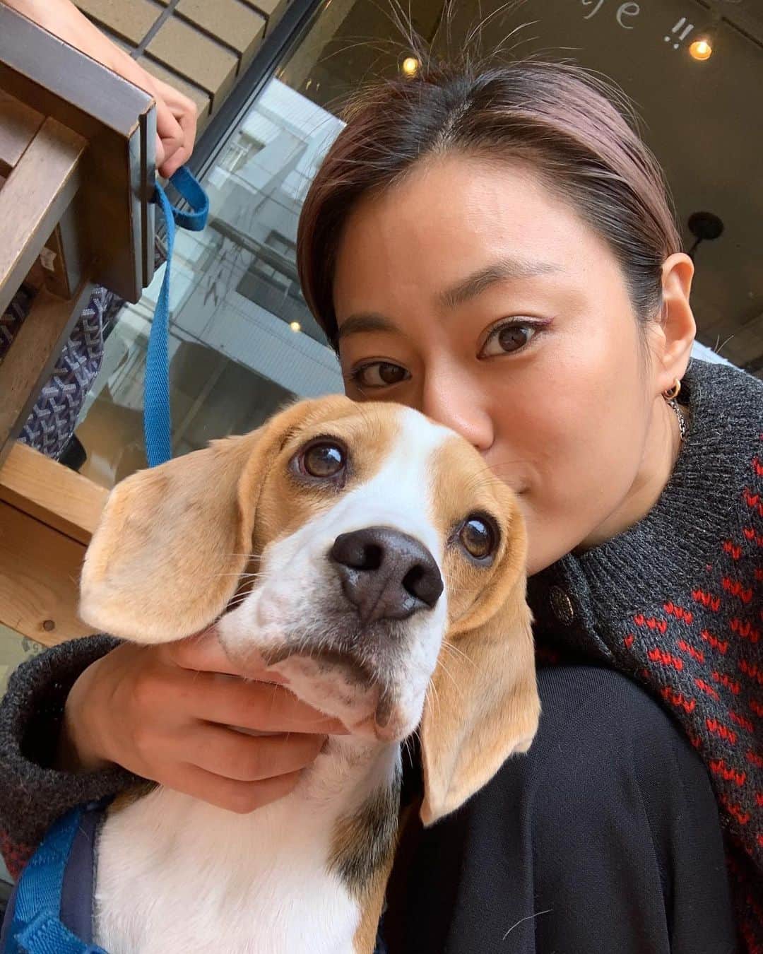 信太美月のグルメインスタ