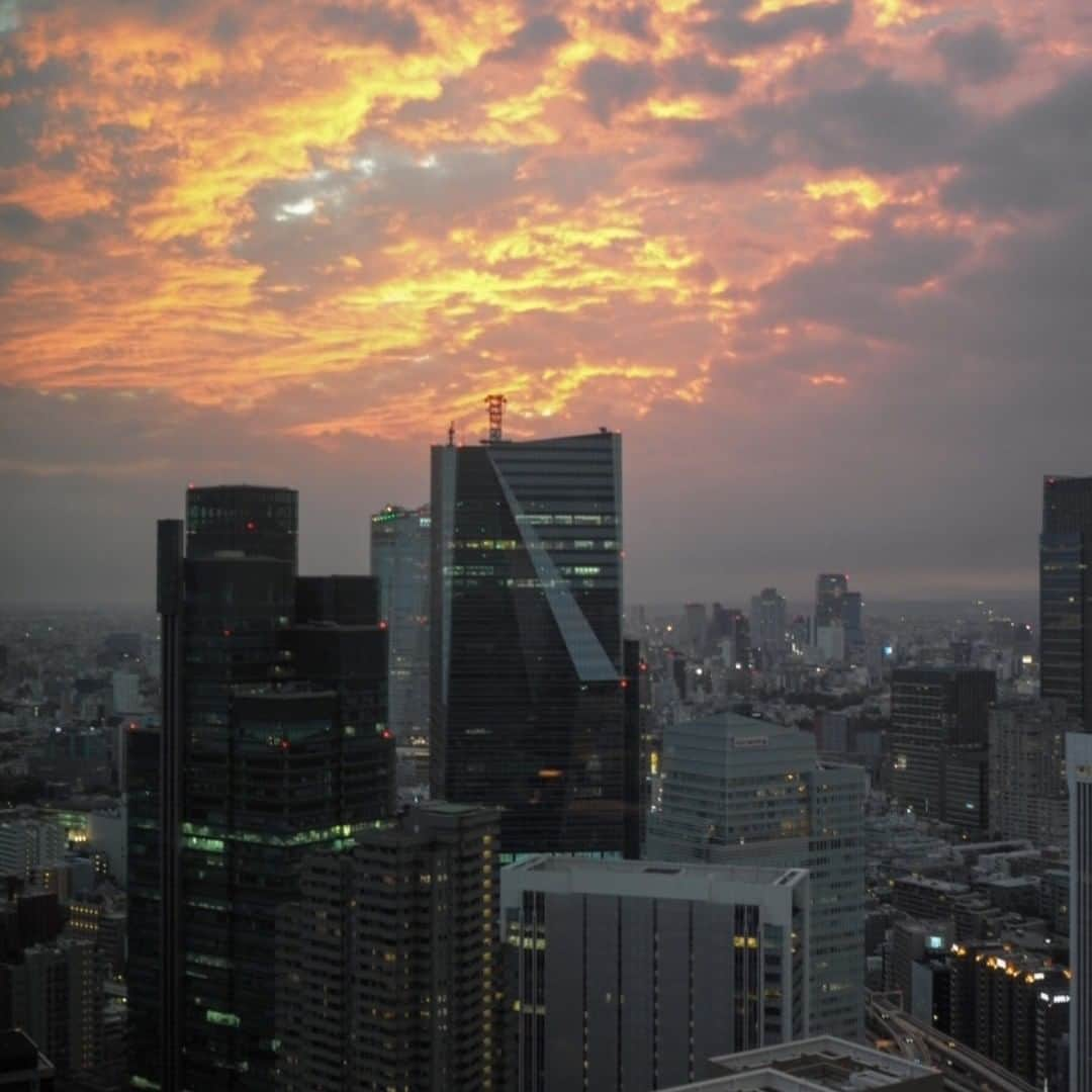 フローラン・ダバディーさんのインスタグラム写真 - (フローラン・ダバディーInstagram)「First trip to the new #hotelokuratokyo where my grandmother used to stay in the 70s; always classy The Lobby is, edgy the Star Bar has become !✨ ホテルオークラ 東京にて。ここでライカで写真を撮るのはアマチュア写真家の醍醐味です📷　#hotelokura #leicax2 #sundaybreak」11月10日 21時00分 - florent_dabadie