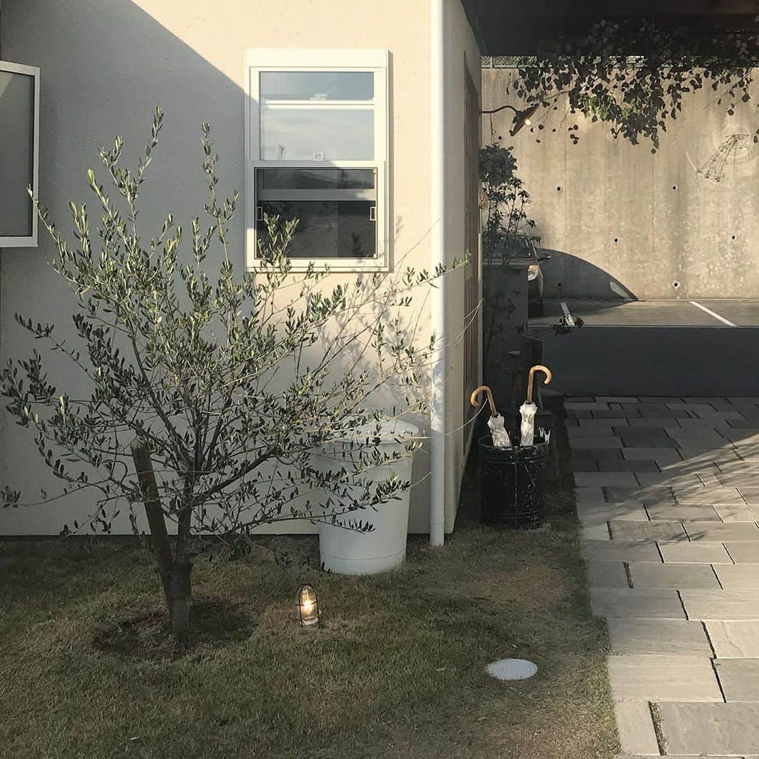 坂田茉世のグルメインスタ