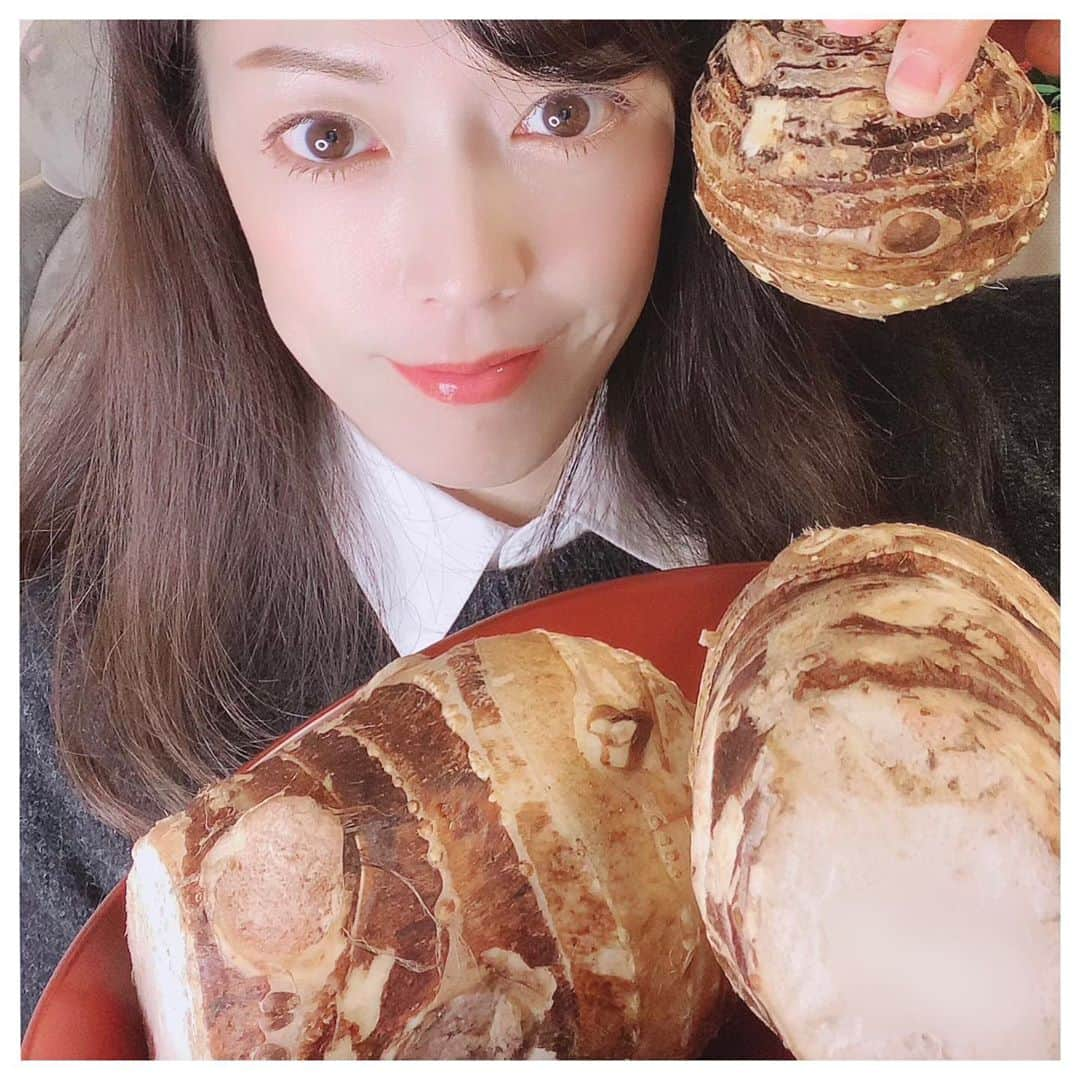 大和悠河さんのインスタグラム写真 - (大和悠河Instagram)「TOKYOの野菜です🌾🥔 里芋の親芋は子芋〜孫芋に繋がっていきます。 . Patata di Tokyo  TOKYO Kartoffel  Tokyo potatoes  Pomme de terre Tokyo  #大和悠河　#yugayamato #里芋　#親芋  #東京グルメ  #tokyoグルメ　#kartoffel   #patate  #potatoe  Tokyo #potatoes   #pomme de terre #pommedeterre   #pommedeterreaufour   #大和悠河の手作り #大和悠河の手づくり　#おうちごはん  #おうちごはん通信  #おうちごはん通信 #都市農業　#旬の野菜  #旬の食材」11月10日 21時16分 - yugayamato