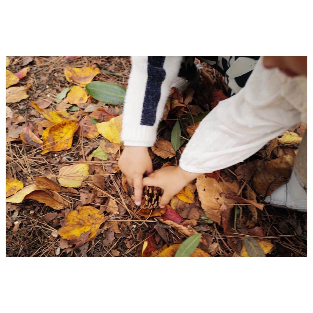 笹川友里さんのインスタグラム写真 - (笹川友里Instagram)「1歳と2歳のデート♡ いつもよく遊んでくれるお兄ちゃん。着実に距離は縮まっております。 母はひたすらライカの練習。 1枚目は「手が触れ合った、、！」的な写真に見えますが 松ぼっくりの奪い合いが勃発している写真です笑  #新宿御苑#すっかり秋めいていました #デート#初恋かしら」11月10日 21時25分 - sasagawayuri