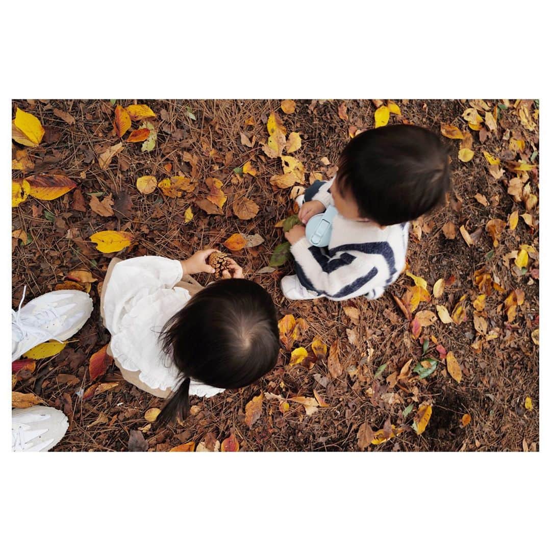 笹川友里さんのインスタグラム写真 - (笹川友里Instagram)「1歳と2歳のデート♡ いつもよく遊んでくれるお兄ちゃん。着実に距離は縮まっております。 母はひたすらライカの練習。 1枚目は「手が触れ合った、、！」的な写真に見えますが 松ぼっくりの奪い合いが勃発している写真です笑  #新宿御苑#すっかり秋めいていました #デート#初恋かしら」11月10日 21時25分 - sasagawayuri