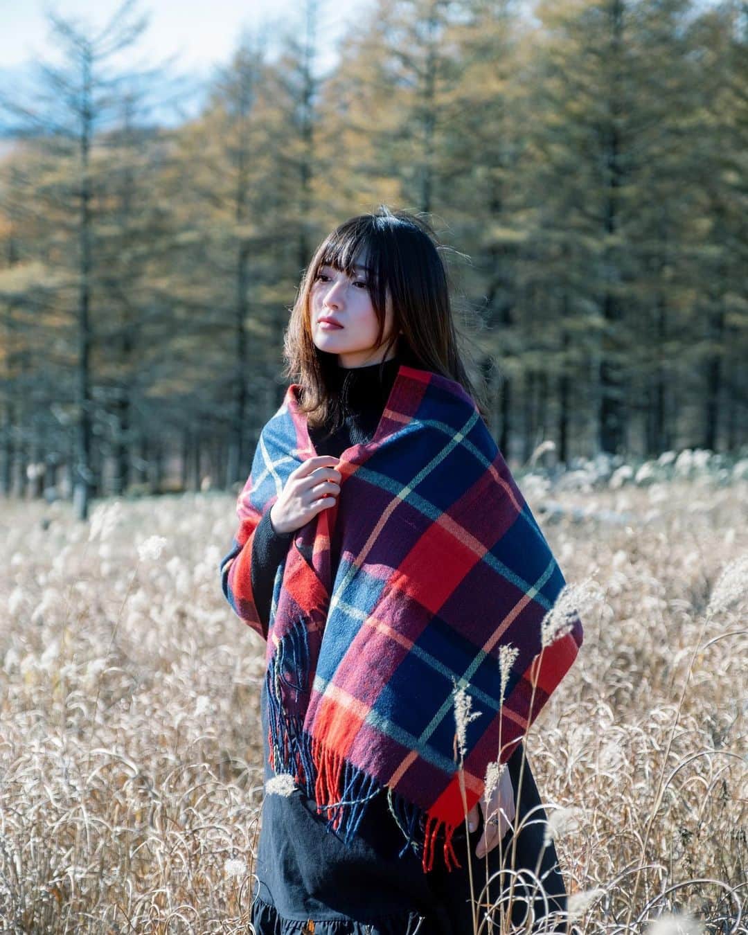 shabonのインスタグラム