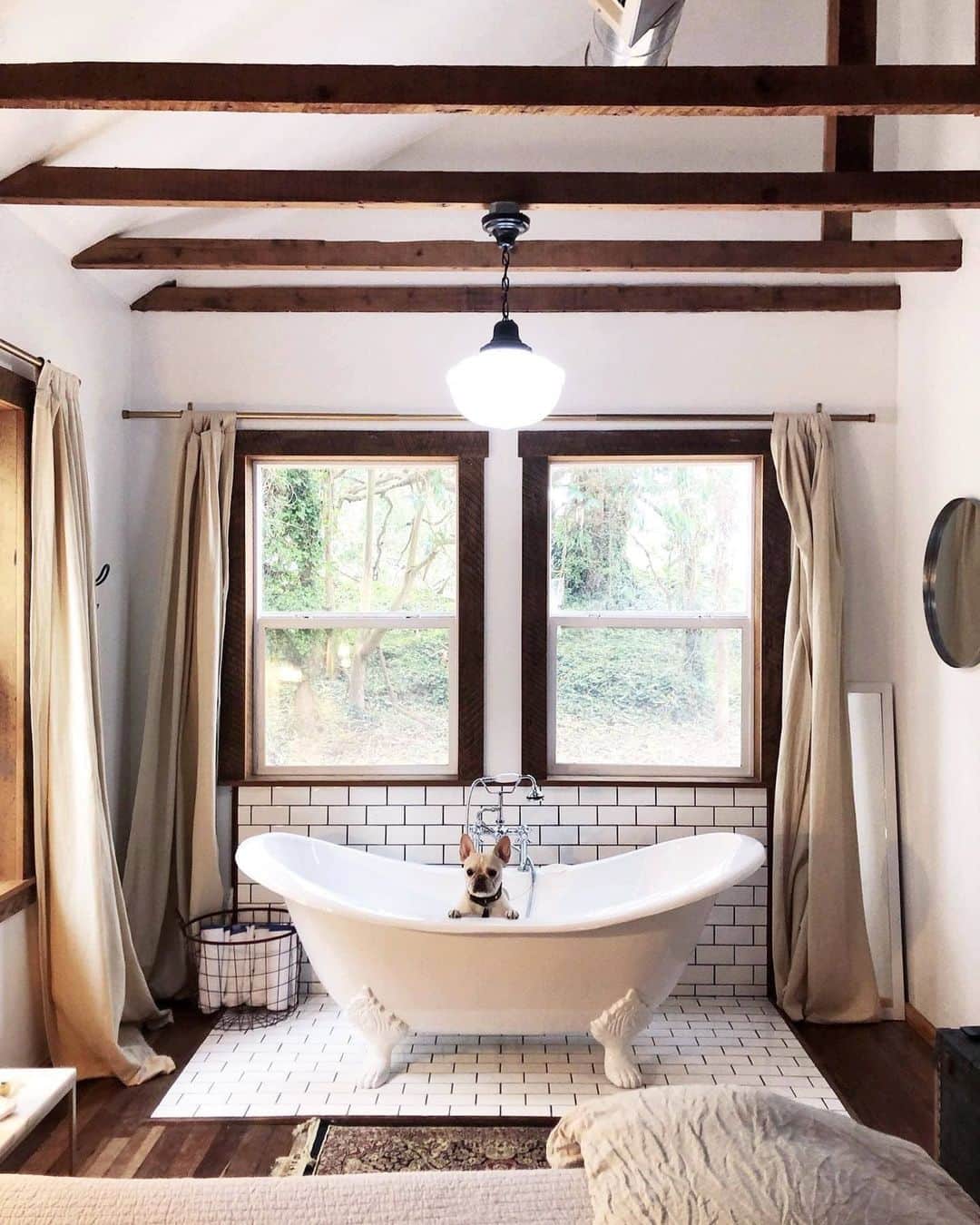 Airbnbさんのインスタグラム写真 - (AirbnbInstagram)「You don’t have to be French (or a bulldog) to appreciate great design. Superhost Amy’s cabin gives your family space to spread out in style, while wifi lets you keep up with work and stay long enough to settle in. Best of all, the beach is a short walk through fragrant eucalyptus trees away. It’s all a half-day’s drive from San Francisco. #GoNear  Discover wide-open places near you. Link in bio.  Photo: @thebeastandbae」11月10日 21時34分 - airbnb
