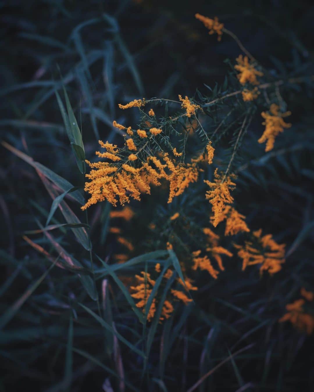 ima_ju / Jun Iのインスタグラム：「: : Relax : ::」