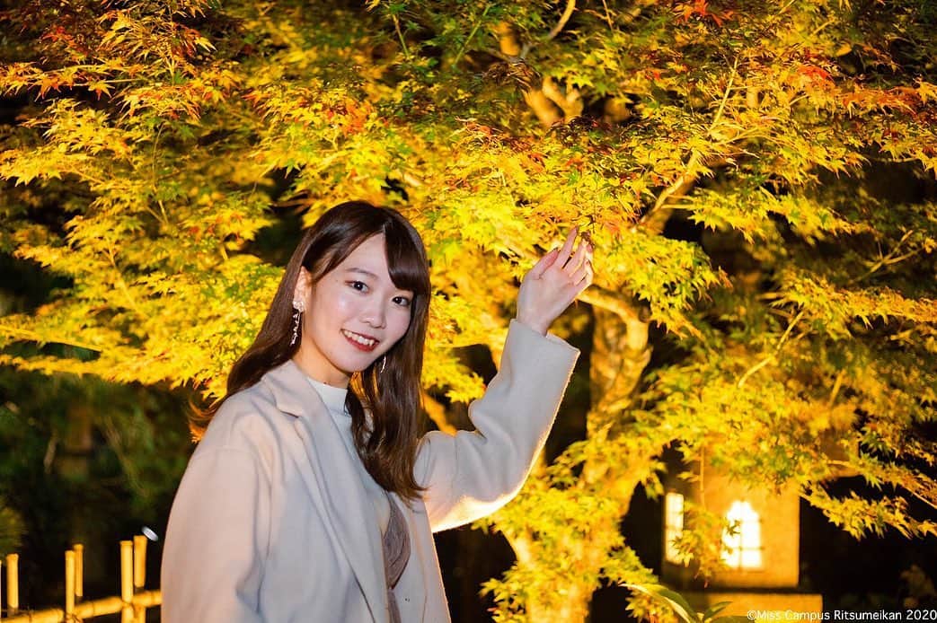 齋藤佳穂のインスタグラム：「いよいよ昨日からウェブ投票が始まりました📣 期間は11月9日〜12月6日までで、1日一回投票できます。  🌹投票のやり方🌹 　　QRをスクショ 　　LINEで読み取り 　　投票サイトから投票する 　　ピンクのボタンが緑に変われば　　　　 　　完了  8月3日、0人だったフォロワーさんが3ヶ月で3500人を超えていました😭✨ 本当に有難いことです🍁  毎日毎日たくさんの方に応援して支えていただいてそれを励みにがんばってきました‼︎そのお返しに最後に皆さんにとびきりの笑顔でお礼が言いたいです🥺💗 そのために28日間がんばりたい！！力をかしてください💪 毎日投票お願いします🙇🏻‍♀️ 【  #かポチ　】 ・ ・ 11月13日から行われる 『金戒光明寺特別夜間拝観』にひと足お先に行ってきました🍁 ((( @kurodani1175 )))  #くろ谷さん #金戒光明寺 #紅葉 #特別夜間拝観 #浄土宗 #京都 #京都観光 #京都紅葉 #京都散策 #紅葉狩り #紅葉ライトアップ #京都観光スポット #カメラ好きな人と繋がりたい #カメラ好きと繋がりたい #kyoto #kyotographie #kyotojapan #kyotogram #kyototemple #kyoto_style」
