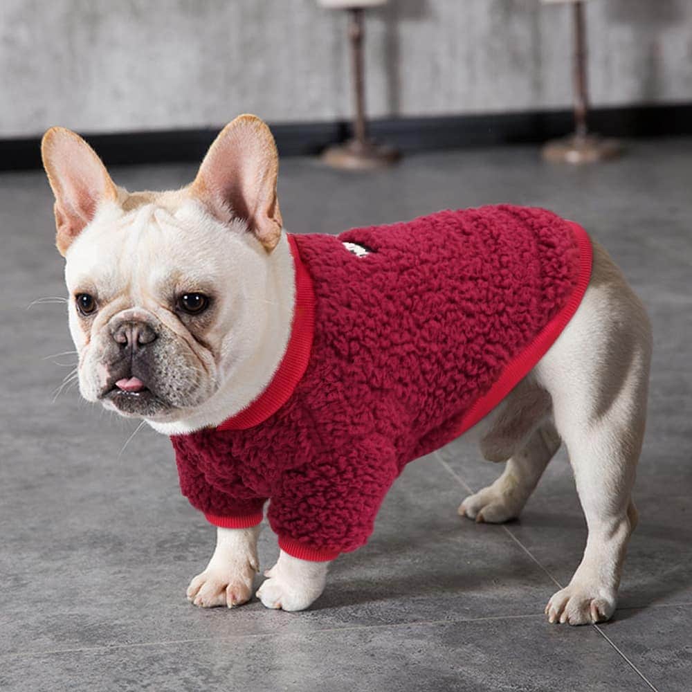 French Bulldogさんのインスタグラム写真 - (French BulldogInstagram)「Ultra Soft Fluffy French Bulldog Sweater 🐑🤍🦙 Exclusive in @frenchie.world shop 🛍🛍🛍 👉 LINK IN BIO 🔝 . . . . . #frenchie #frenchies #französischebulldogge #frenchbulldog #frenchbulldogs #dog #dogsofinstagram #frenchieworld #bully #bulldog #bulldogfrances #フレンチブルドッグ #フレンチブルドッグ #フレブル #ワンコ #frenchiesgram #frenchbulldogsofinstagram #ilovemyfrenchie #batpig #buhi #squishyfacecrewbulldog」11月10日 22時21分 - frenchie.world